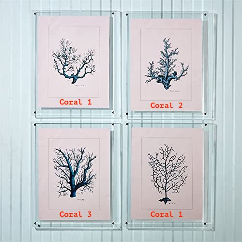 Twos Company Coral Wall Art in Acrylic Frame
